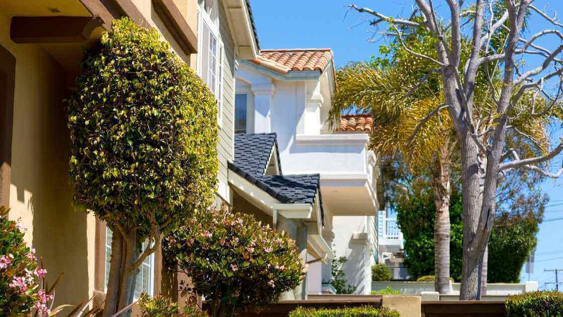 homes in a neighborhood with trees